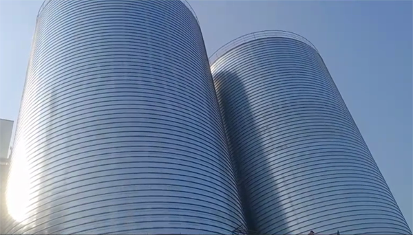 南郊2座混凝土高架卷板仓